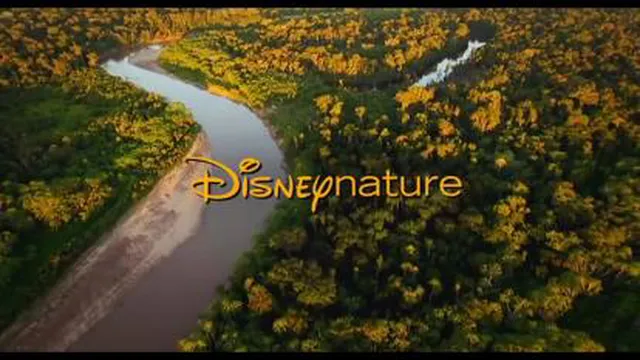 تریلر فیلم Chimpanzee