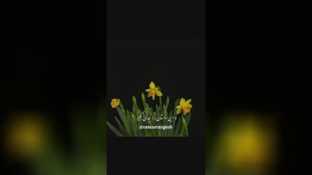 به خدا توکل کن4