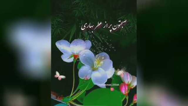 فیلم