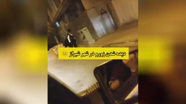 دیده شدن زورو در شیراز 😐