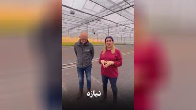 گلخانه