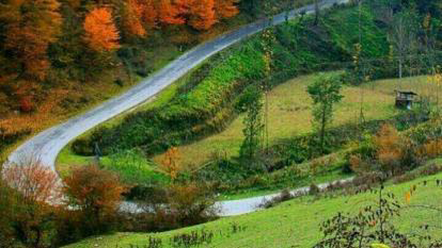 طبیعت زیبای هزارجریب شهرستان نکا
