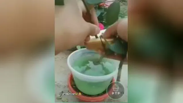 ایده کاشت