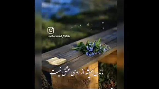 دلنشین