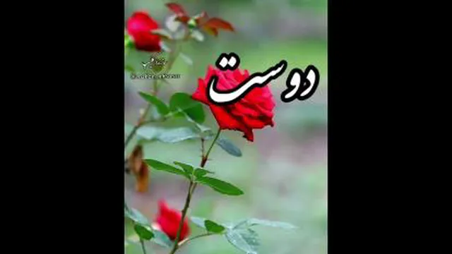 بهنام بانی چی بگم