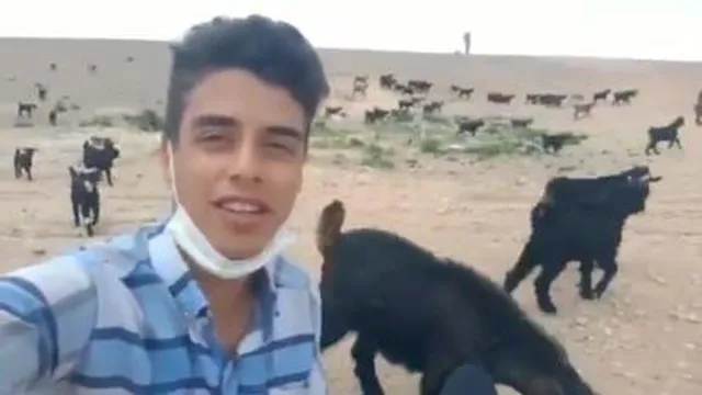 خوانندگی چوپان