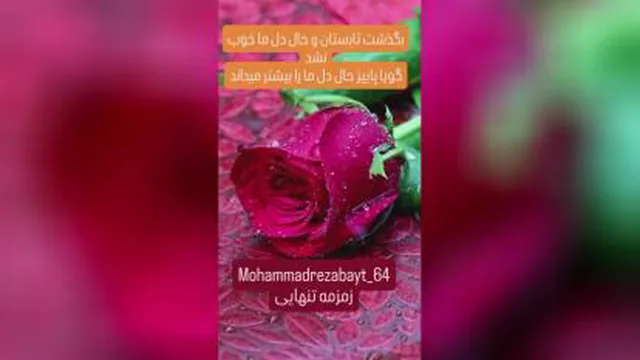 کلیپ عاشقانه/محمدرضا بیات