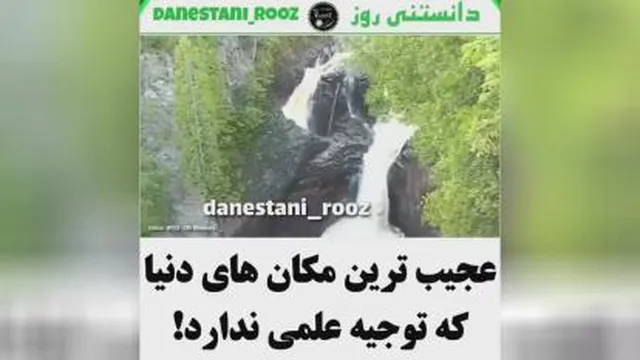 عجیب ترین های دنیا که شاید باور نکنید