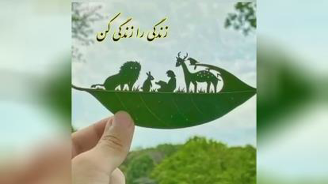 کاردستی