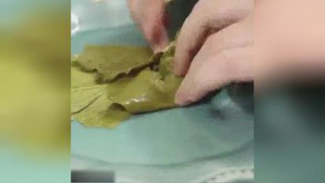دلمه برگ مو