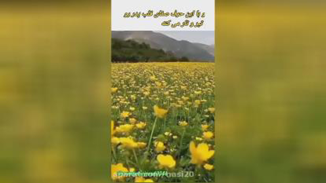 مواظب زبان خود باشیم