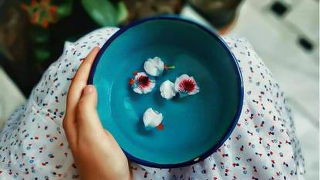 غذای تخم مرغی