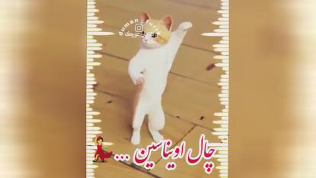 طنز خاص