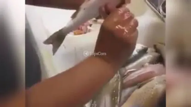 ی کوچولو خلاق باشیم ،نحوه سریع پاک کردن ماهی مجلسی😋😋