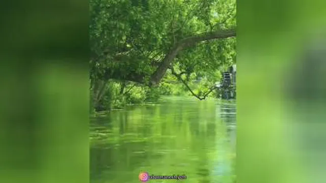 تو خدایی هستی در این کیهان_استادعباسمنش