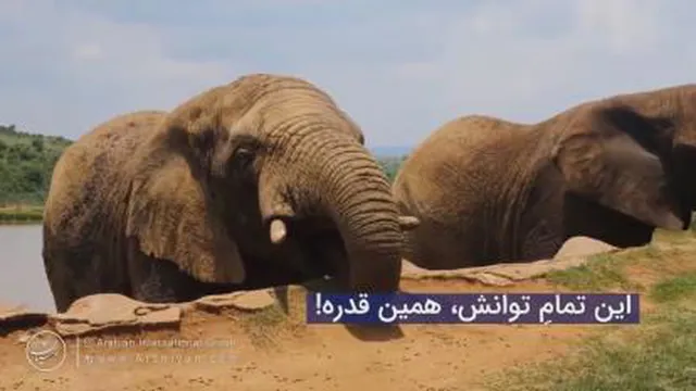 توقع بیش ازحد_استادعرشیانفر