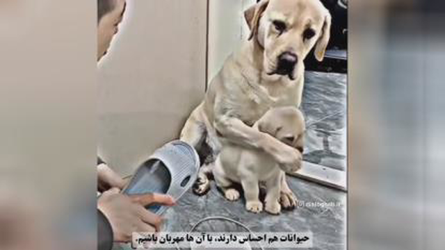 مهربون باشیم