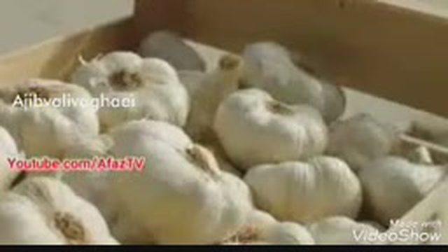 خواص سیر