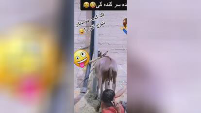 شوخی های