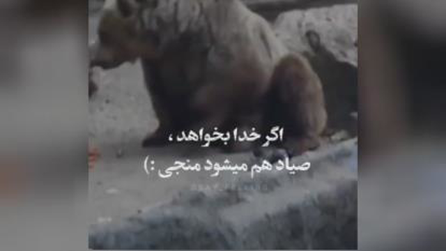 اگر خدا بخواهد
