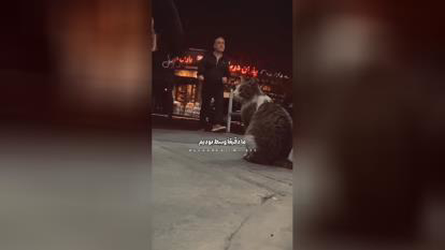 بدون شرح