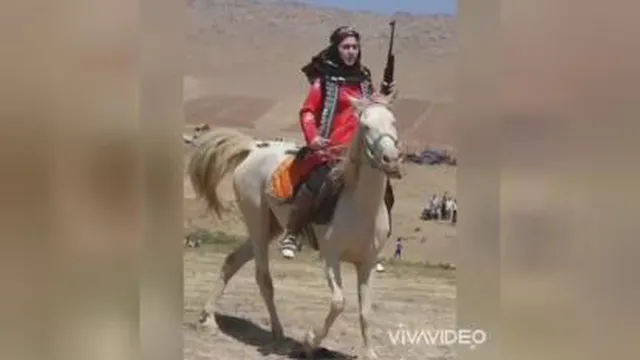 شعر کردی