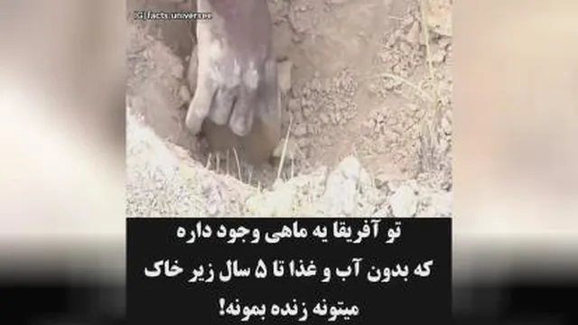 زندگی ماهی بدون آب و غدا