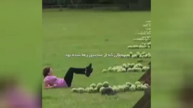می تونست از اینم بدتر بشه