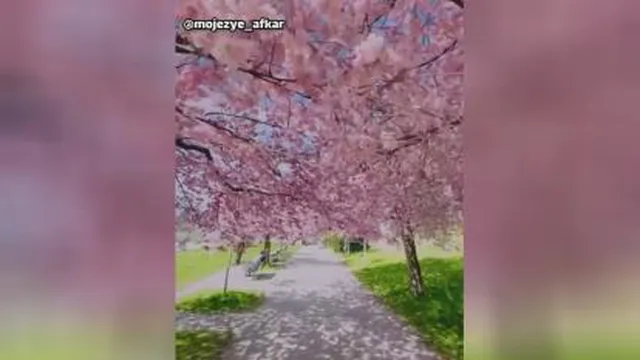 خدای من