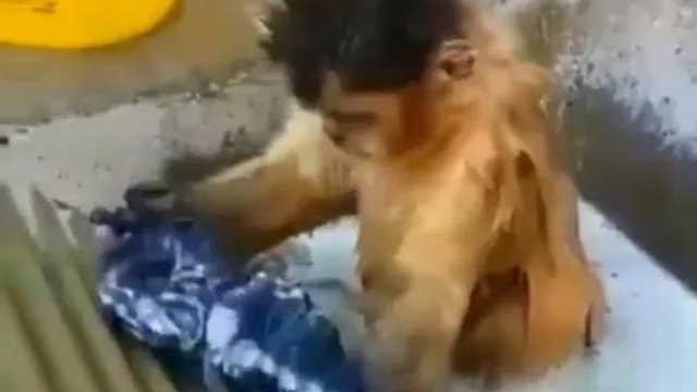 مادرشوهرش اومده خونشون😀