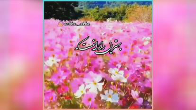 مهدی عباسی