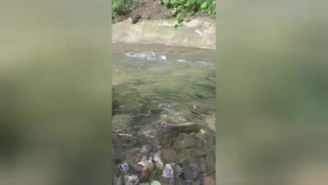 اینجوریاس😶