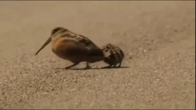 هزارماشالله😂😂