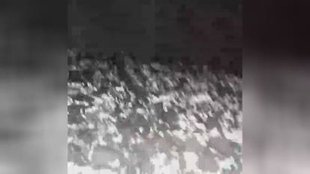 مراحل پرورش قارچ
