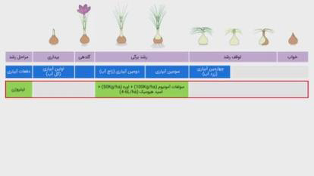 بیا توکانال من پیوند زدن یاد بگیر