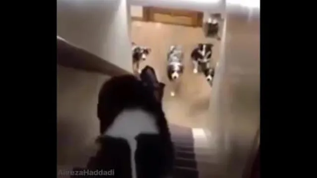 لذت ببرید