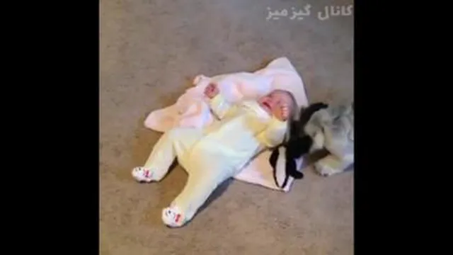 فقط بخندید