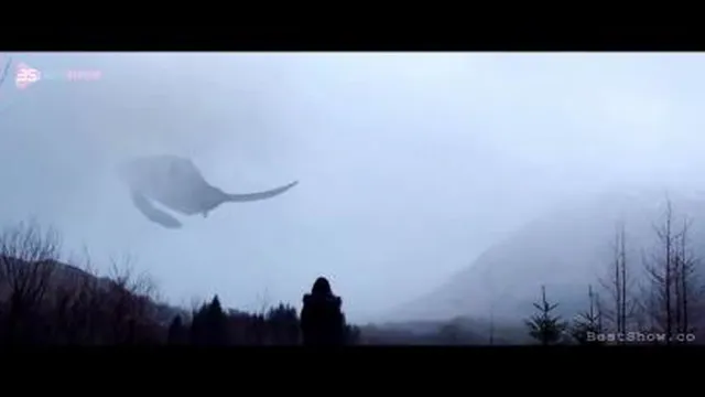آرامشی محض و یک‌ موسیقی ‌ماورایی (Iday Whale)