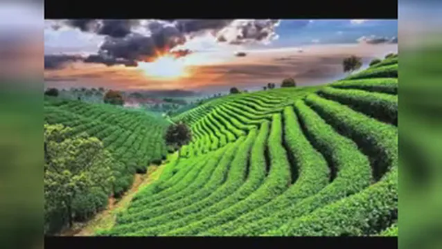 مذهبی. نگرشی ..الهی ..در سه کلمه