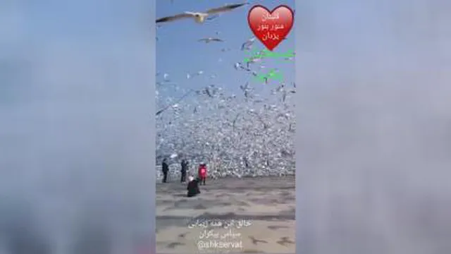 خالق این همه زیبایی ها کیست..خدایا به عظمت زیبایی هایت شکر