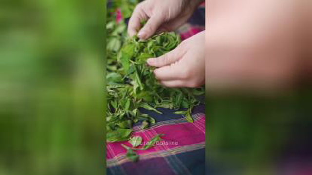چای دستچین میجان خانم