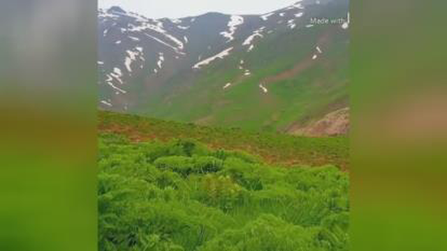 کردستان🥰😍😇