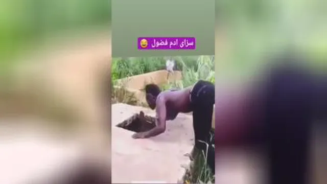 فزولی نکنی ها چیکارمیکنی😂😎