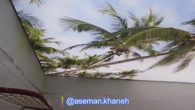 باریسول