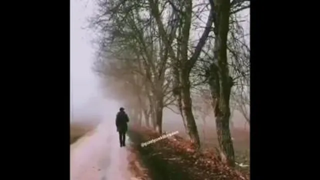 دانش