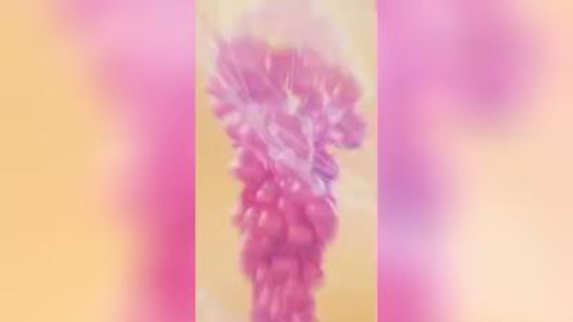 فقط خدا