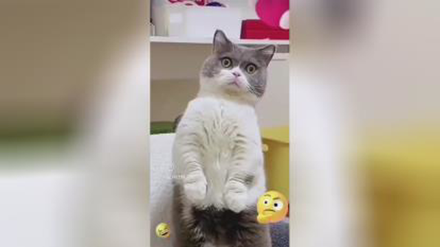 نخ کردن سوزن