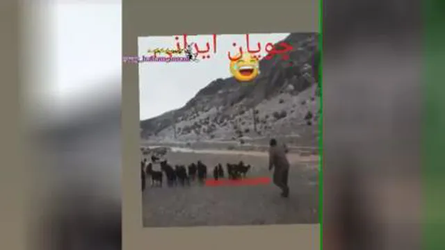 چوپانی🤣🤣🤣