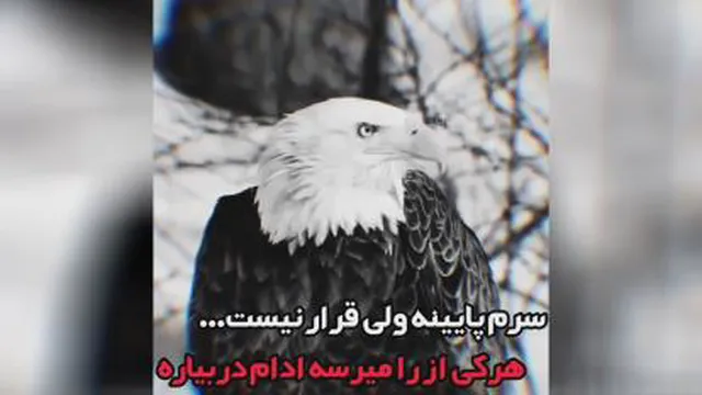 عقابی باش برای خودت ....