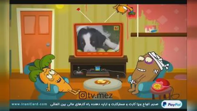 تی وی مز